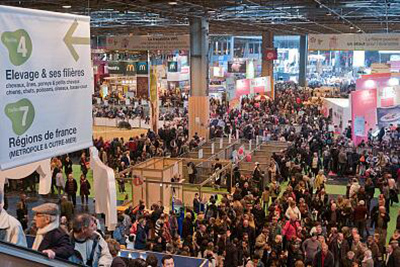 賦能品牌，引爆流量 展會宣傳片高效策劃全攻略與專業服務咨詢